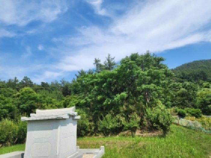 전남 여수시 율촌면 임야 경매 물건 사진 6 · 2025타경51606