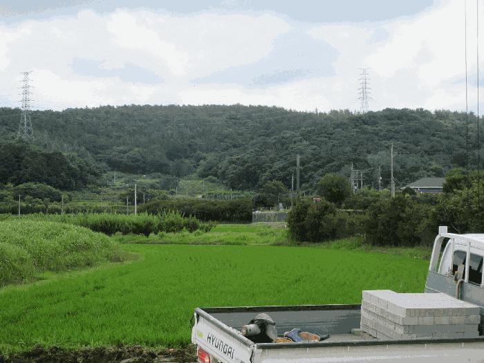 전남 여수시 묘도동 임야 경매 물건 사진 6 · 2025타경51606