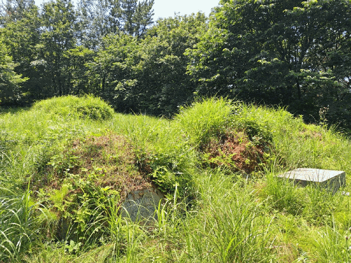 전남 여수시 율촌면 임야 경매 물건 사진 6 · 2025타경51632