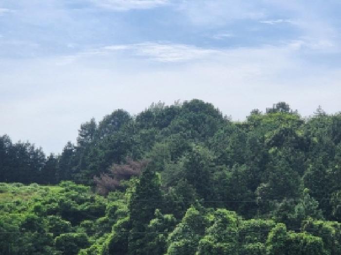 전남 여수시 율촌면 임야 경매 물건 사진 2 · 2025타경51632