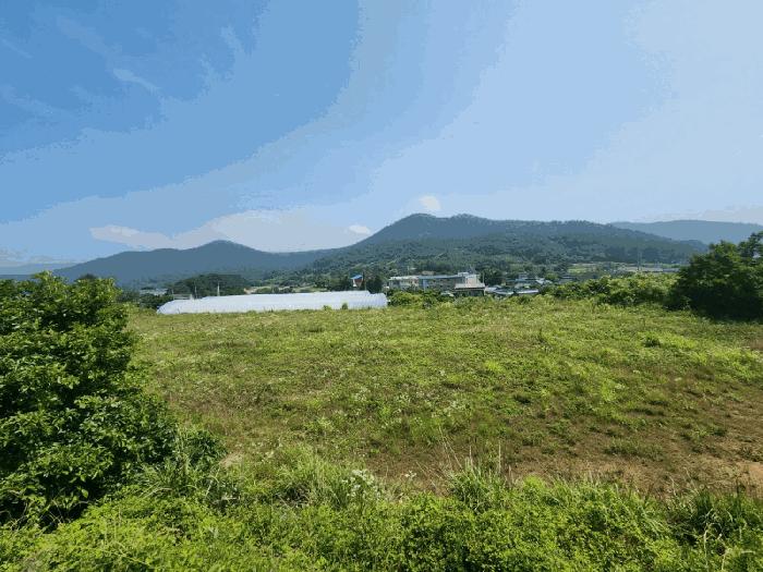 전남 고흥군 봉래면 대지 경매 물건 사진 3 · 2025타경51653