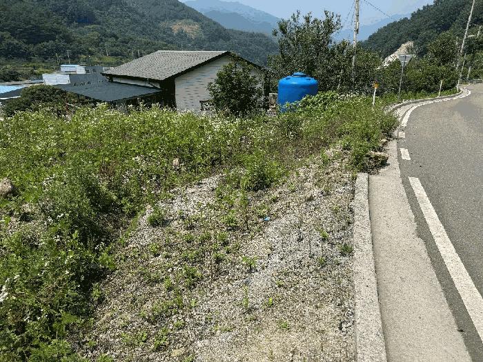 전남 광양시 다압면 대지 경매 물건 사진 4 · 2025타경51660