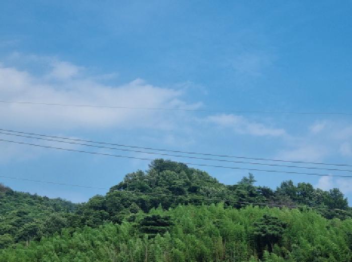 전남 광양시 진월면 전 경매 물건 사진 5 · 2025타경51668