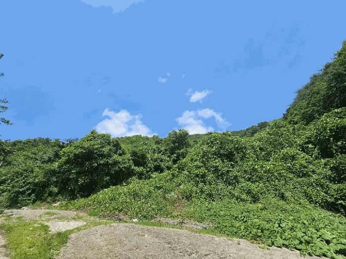 전남 광양시 진월면 전 경매 물건 사진 6 · 2025타경51668