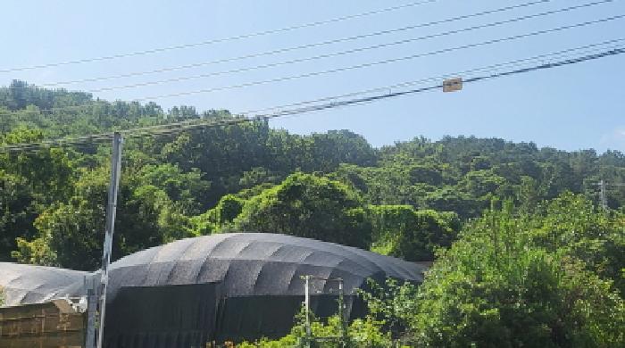 전남 여수시 묘도동 임야 경매 물건 사진