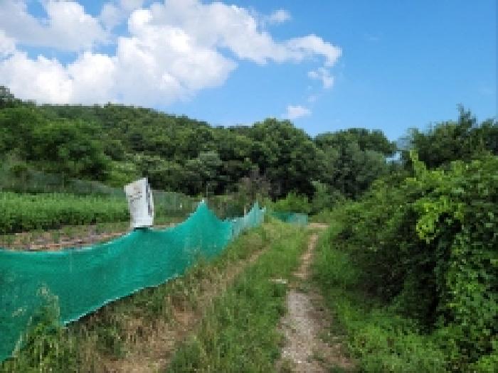 전남 여수시 주삼동 전 경매 물건 사진 2 · 2025타경51702