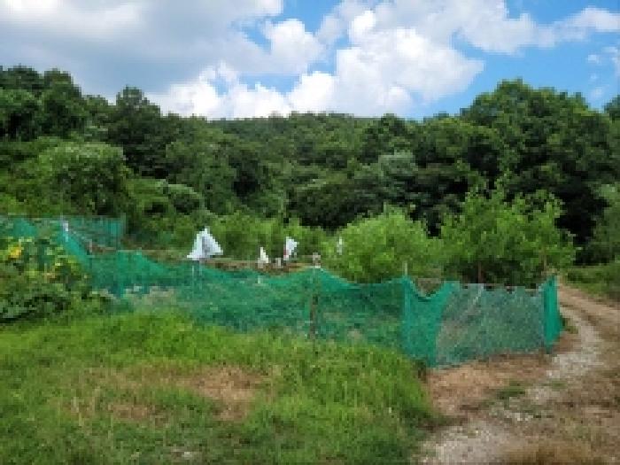전남 여수시 주삼동 전 경매 물건 사진 3 · 2025타경51702
