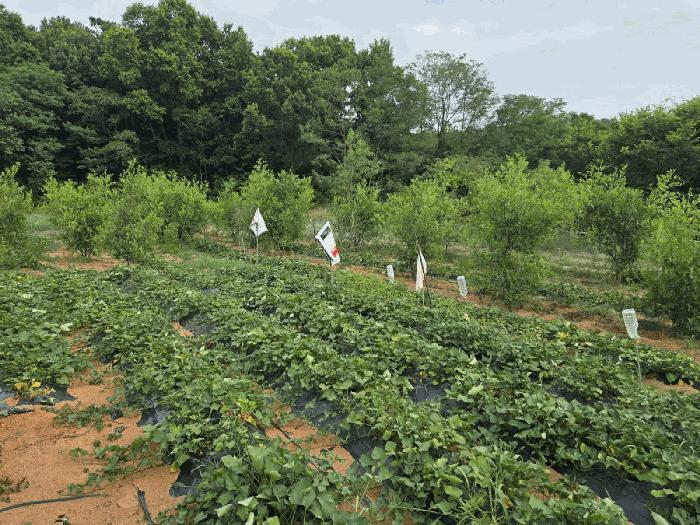 전남 여수시 주삼동 전 경매 물건 사진 4 · 2025타경51702