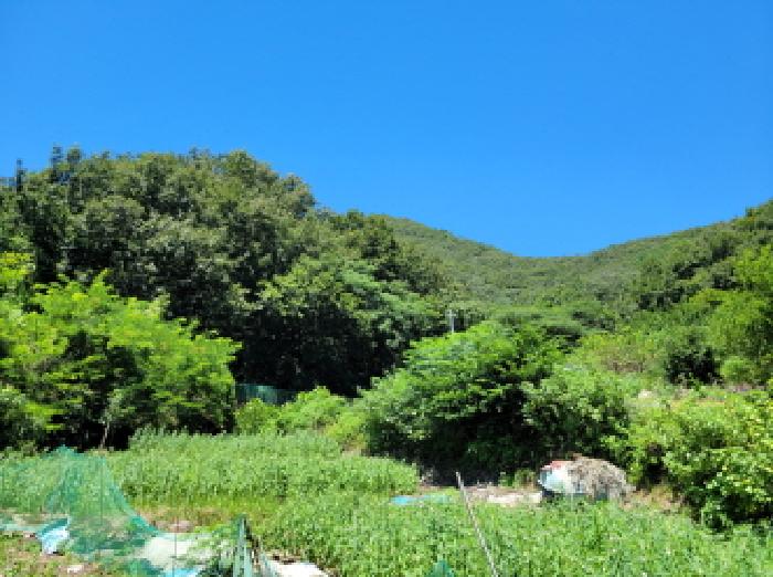 전남 여수시 오림동 임야 경매 물건 사진