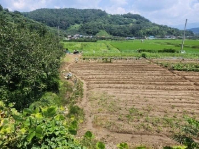 전남 광양시 옥곡면 대지 경매 물건 사진