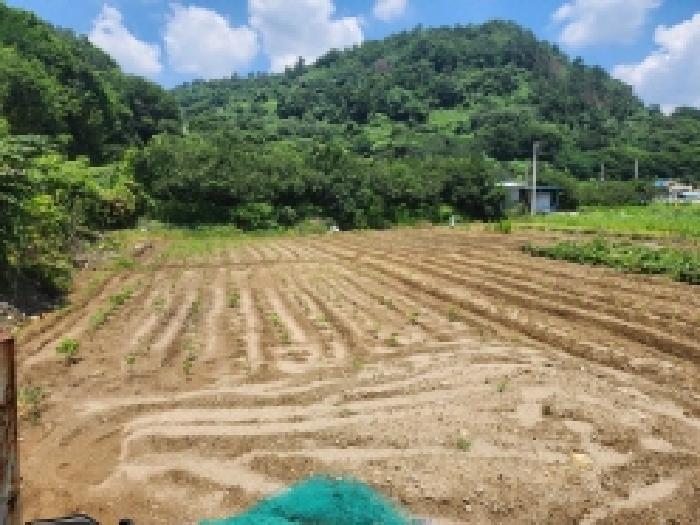 전남 광양시 옥곡면 대지 경매 물건 사진 3 · 2025타경51751