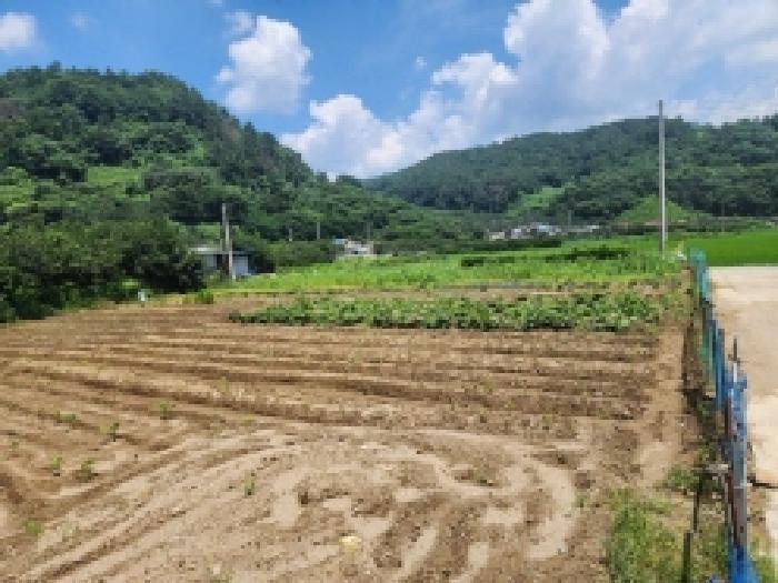 전남 광양시 옥곡면 대지 경매 물건 사진 4 · 2025타경51751
