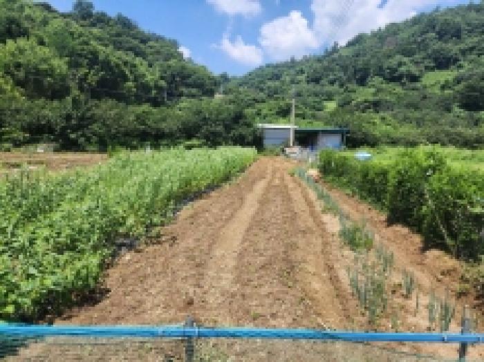 전남 광양시 옥곡면 대지 경매 물건 사진 5 · 2025타경51751