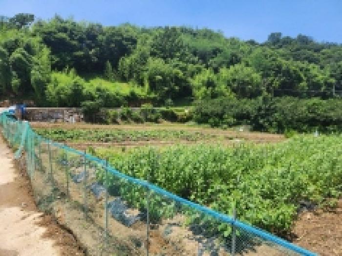 전남 광양시 옥곡면 대지 경매 물건 사진 6 · 2025타경51751