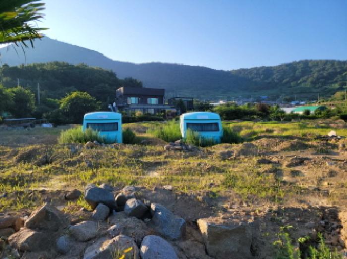 전남 고흥군 금산면 답 경매 물건 사진