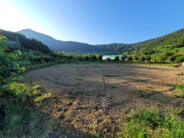 전남 고흥군 금산면 답 경매 물건 사진 5 · 2025타경51770