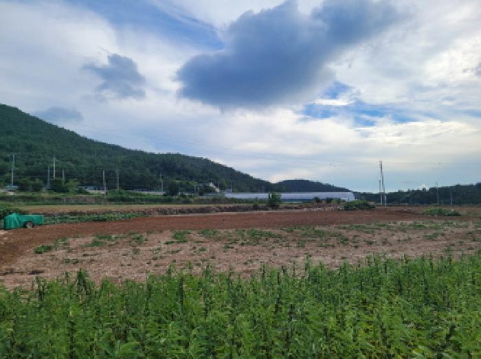 전남 여수시 돌산읍 전 경매 물건 사진