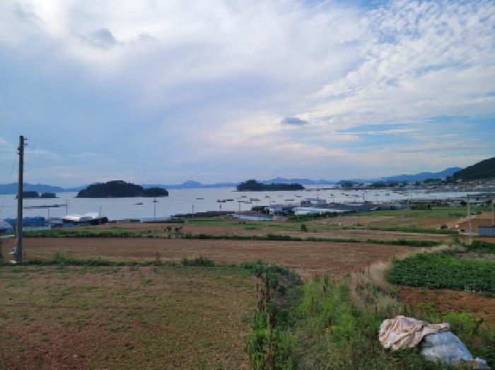 전남 여수시 돌산읍 전 경매 물건 사진 4 · 2025타경51779
