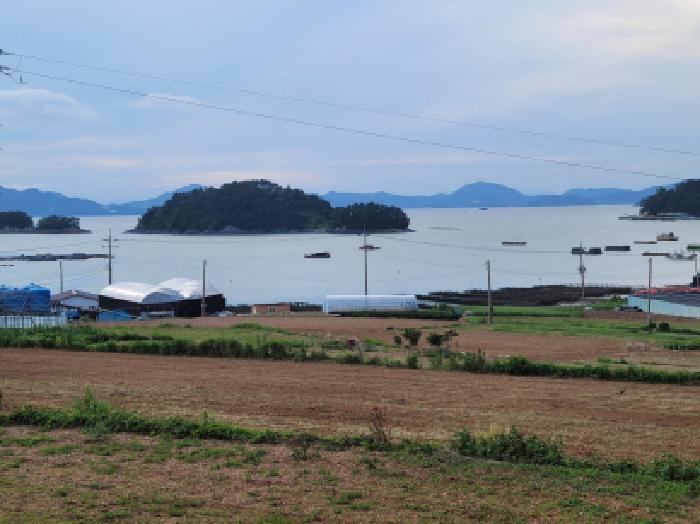 전남 여수시 돌산읍 전 경매 물건 사진 5 · 2025타경51779