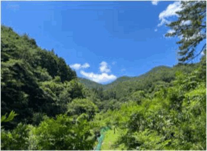 전남 순천시 서면 임야 경매 물건 사진