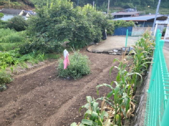 전남 보성군 벌교읍 답 경매 물건 사진 3 · 2025타경51818
