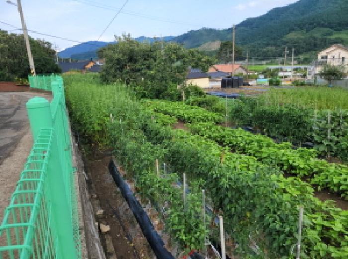 전남 보성군 벌교읍 답 경매 물건 사진 5 · 2025타경51818