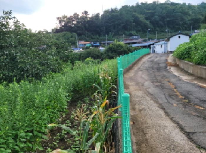 전남 보성군 벌교읍 답 경매 물건 사진 6 · 2025타경51818
