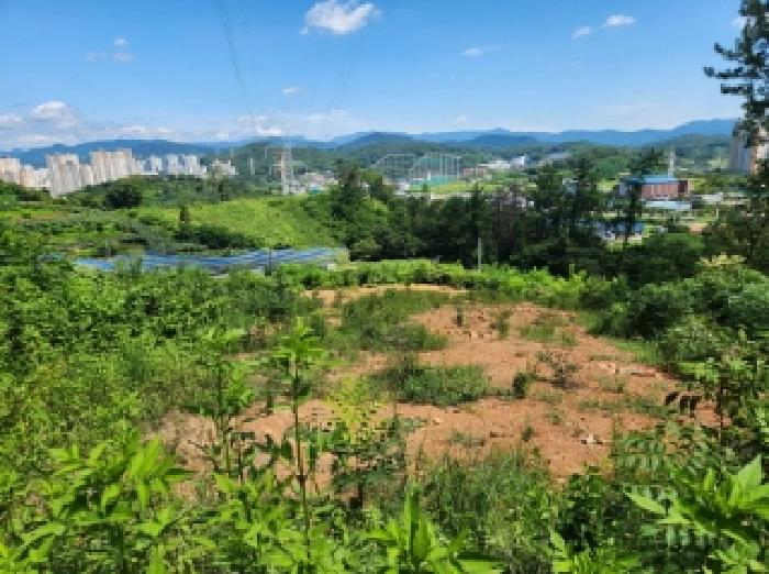 전남 순천시 해룡면 대지,임야,전답 경매 물건 사진