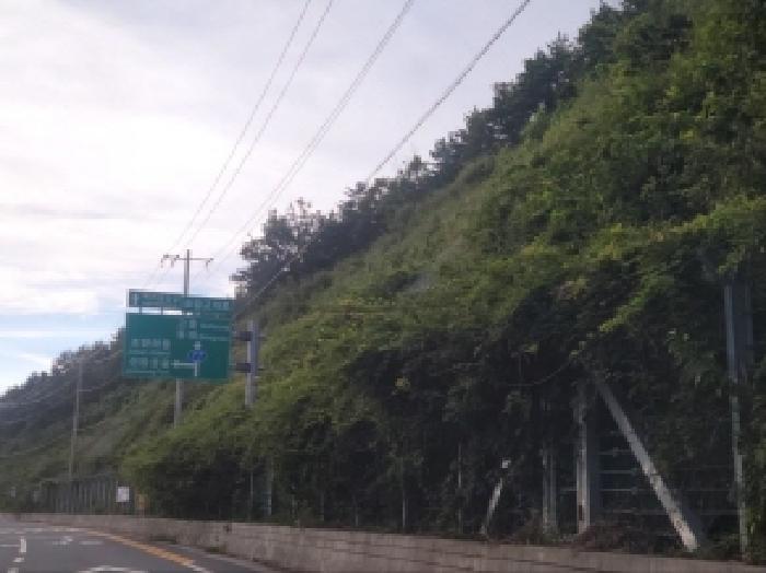 전남 여수시 화정면 임야 경매 물건 사진 2 · 2025타경51913