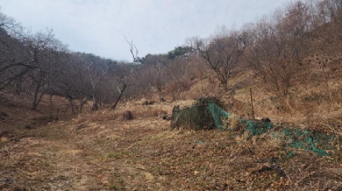 전남 광양시 중군동 임야 경매 물건 사진 3 · 2025타경51919