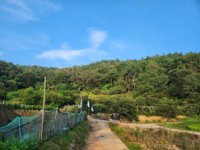 전남 순천시 해룡면 임야 경매 물건 사진