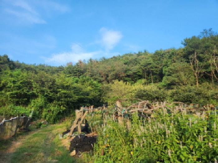 전남 순천시 해룡면 임야 경매 물건 사진 2 · 2025타경51937