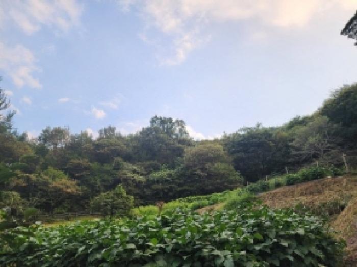 전남 순천시 외서면 임야 경매 물건 사진