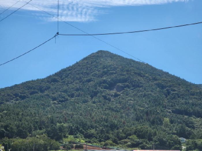 전남 여수시 돌산읍 임야 경매 물건 사진