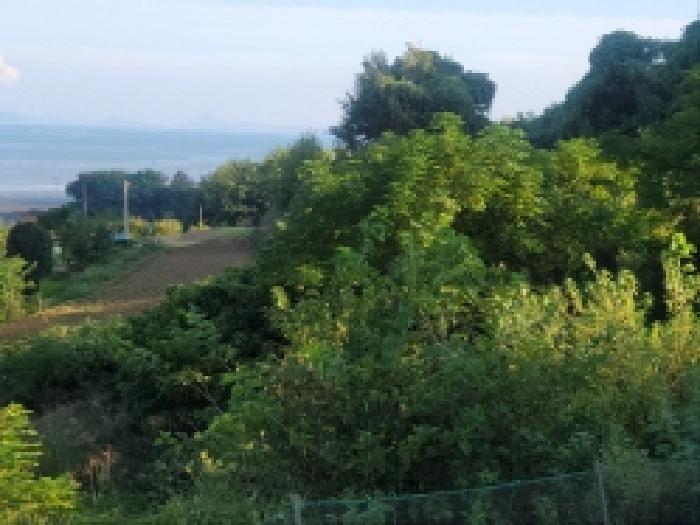 전남 보성군 벌교읍 전 경매 물건 사진 3 · 2025타경52021