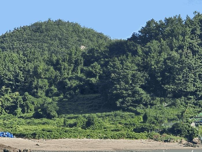 전라남도 고흥군 도화면 구암리 960-3 답 경매 물건 사진