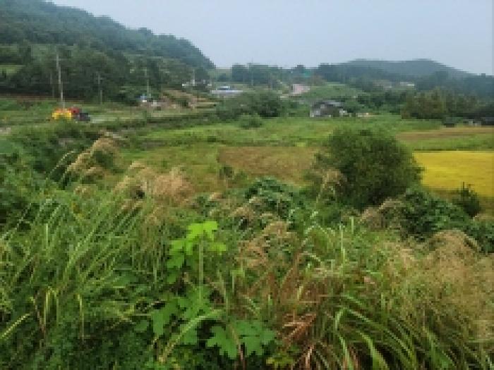 전남 고흥군 동일면 다가구주택 경매 물건 사진 2 · 2025타경52041