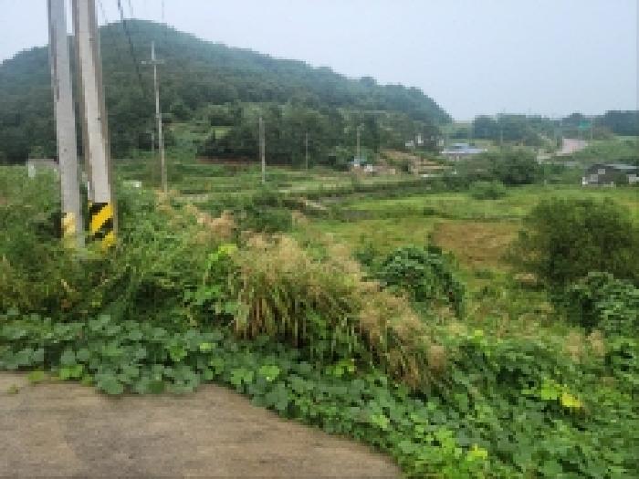 전남 고흥군 동일면 다가구주택 경매 물건 사진 4 · 2025타경52041