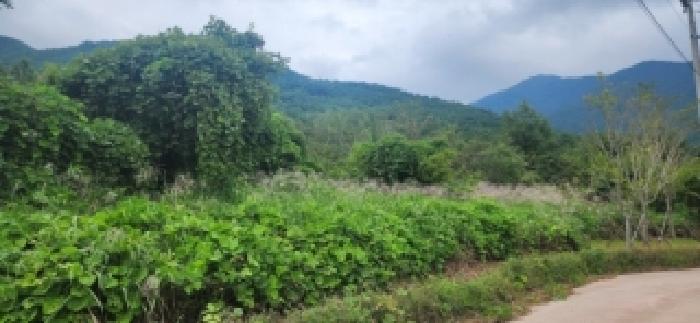 전남 구례군 마산면 대지 경매 물건 사진