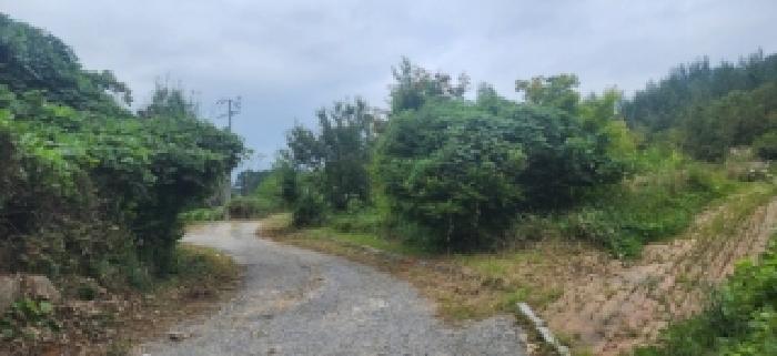 전남 구례군 마산면 대지 경매 물건 사진 3 · 2025타경52047