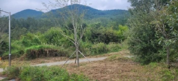 전남 구례군 마산면 대지 경매 물건 사진 4 · 2025타경52047