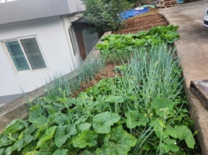 전남 순천시 대대동 대지 경매 물건 사진 5 · 2025타경52056