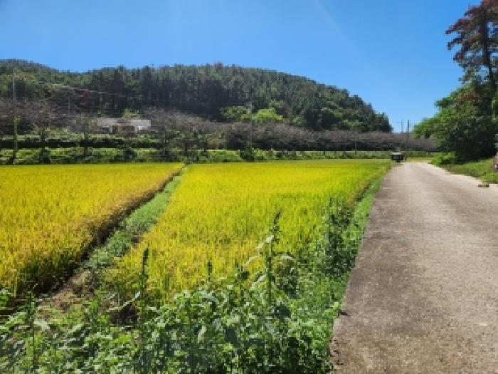 전남 순천시 해룡면 임야 경매 물건 사진 3 · 2025타경52058