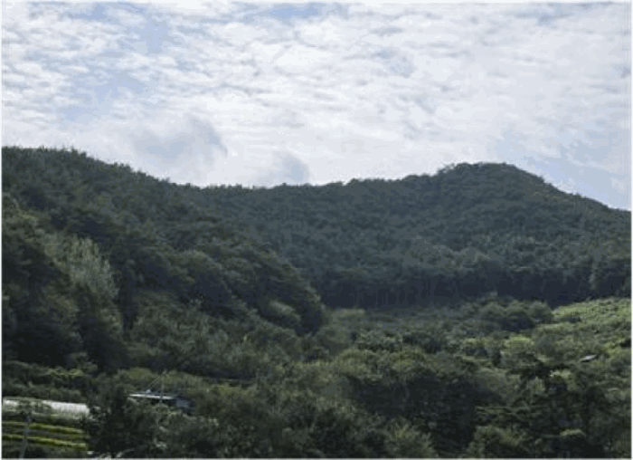 전남 순천시 황전면 임야 경매 물건 사진 6 · 2025타경52096