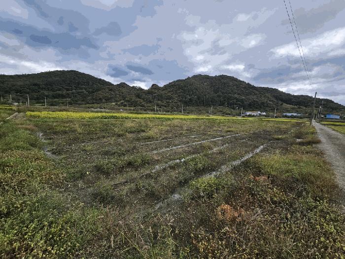 전남 순천시 황전면 답 경매 물건 사진