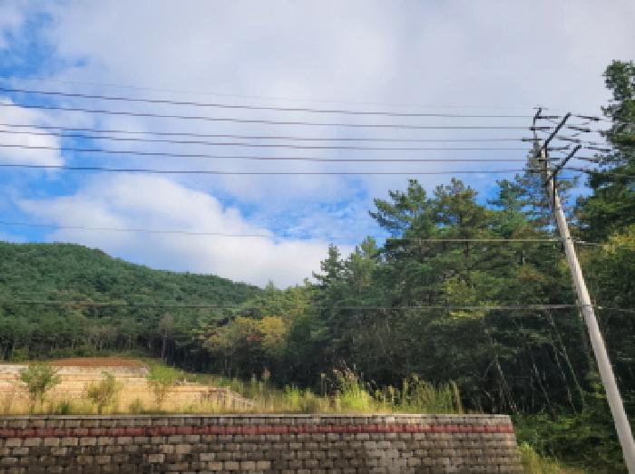 전남 광양시 봉강면 임야 경매 물건 사진 5 · 2025타경52105