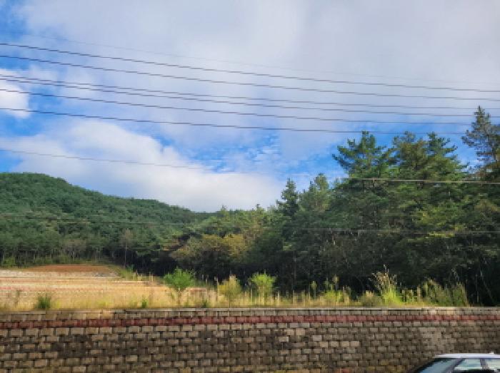 전남 광양시 봉강면 임야 경매 물건 사진 6 · 2025타경52105