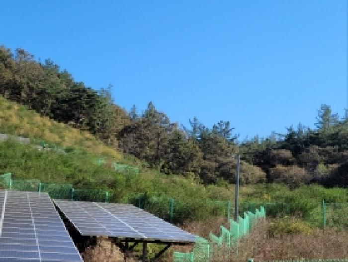 전남 보성군 노동면 임야 경매 물건 사진 6 · 2025타경52123