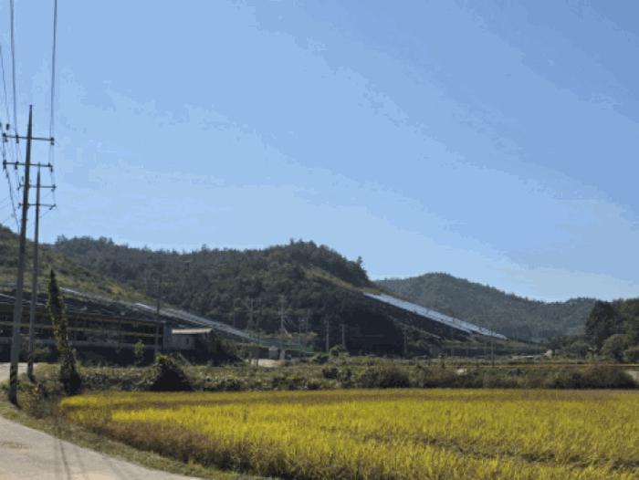 전남 보성군 노동면 임야 경매 물건 사진 2 · 2025타경52123