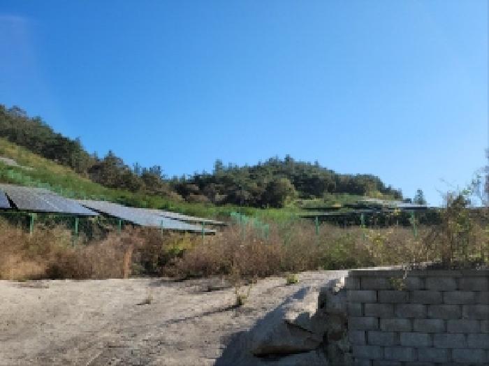 전남 보성군 노동면 임야 경매 물건 사진 4 · 2025타경52123